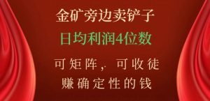 金矿旁边卖铲子，赚确定性的钱，可矩阵，可收徒，日均利润4位数【揭秘】-吗喽副业资源站