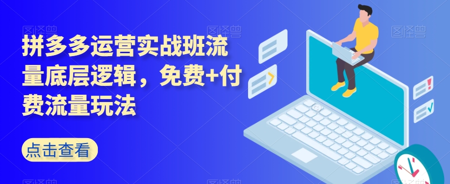 拼多多运营实战班流量底层逻辑，免费+付费流量玩法-吗喽副业资源站
