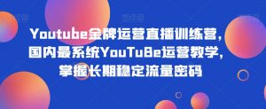 Youtube金牌运营直播训练营,国内最系统YouTuBe运营教学,掌握长期稳定流量密码-吗喽副业资源站