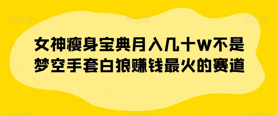 女神瘦身宝典月入几十W不是梦空手套白狼赚钱最火的赛道【揭秘】-吗喽副业资源站