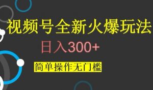 视频号最新爆火玩法，日入300+，简单操作无门槛【揭秘】-吗喽副业资源站