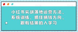 小红书实战落地运营方法，系统训练，抓住搞钱方向，跟有结果的人学习-吗喽副业资源站