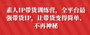 素人IP带货训练营,全平台最强带货IP,让带货变得简单、不再神秘-吗喽副业资源站