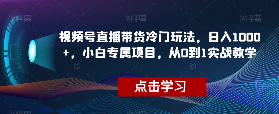视频号直播带货冷门玩法，日入1000+，小白专属项目，从0到1实战教学【揭秘】-吗喽副业资源站