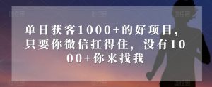 单日获客1000+的好项目，只要你微信扛得住，没有1000+你来找我【揭秘】-吗喽副业资源站
