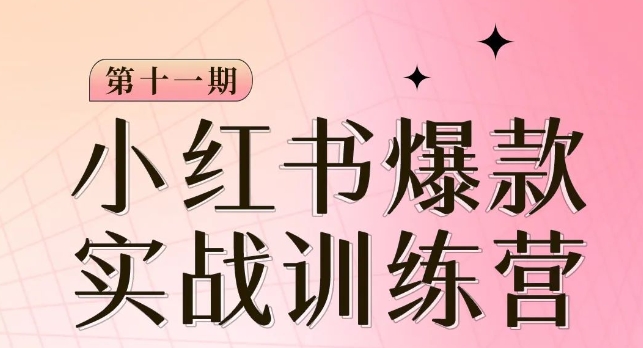 小红书博主爆款训练营第11期，手把手教你从0-1做小红书，从定位到起号到变现-吗喽副业资源站