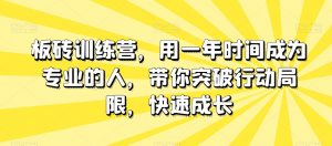 板砖训练营，用一年时间成为专业的人，带你突破行动局限，快速成长-吗喽副业资源站