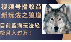 视频号撸收益新玩法之狼道，目前蓝海玩法，轻松月入过万【揭秘】-吗喽副业资源站