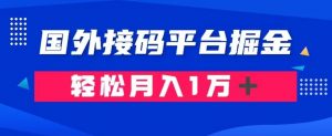 通过国外接码平台掘金：成本1.3，利润10＋，轻松月入1万＋【揭秘】-吗喽副业资源站