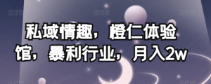 私域情趣，橙仁体验馆，暴利行业，月入2w【揭秘】-吗喽副业资源站