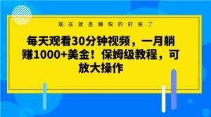 每天观看30分钟视频，一月躺赚1000+美金！保姆级教程，可放大操作【揭秘】-吗喽副业资源站