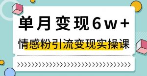 单月变现6W+，抖音情感粉引流变现实操课，小白可做，轻松上手，独家赛道【揭秘】-吗喽副业资源站
