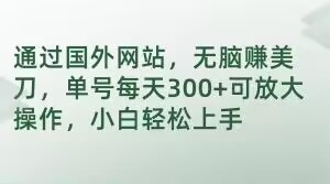 通过国外网站，无脑赚美刀，单号每天300+可放大操作，小白轻松上手【揭秘】-吗喽副业资源站
