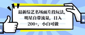最新综艺名场面片段玩法，明星自带流量，日入200+，小白可做【揭秘】-吗喽副业资源站