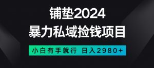 暴力私域捡钱项目，小白无脑操作，日入2980【揭秘】-吗喽副业资源站