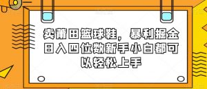 卖莆田篮球鞋，暴利掘金日入四位数新手小白都可以轻松上手【揭秘】-吗喽副业资源站