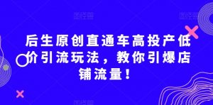 后生原创直通车高投产低价引流玩法，教你引爆店铺流量！-吗喽副业资源站