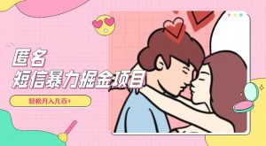 全网首发，揭秘超冷门匿名短信项目，通过信息差日入几百+【揭秘】-吗喽副业资源站