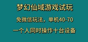 梦幻仙域游戏试玩,免微信玩法,单机40-70,一个人同时操作十台设备【揭秘】-吗喽副业资源站