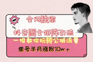 全网独家抖音图文矩阵引流，一招教你玩转公域流量，单号半月涨粉10w+【揭秘】-吗喽副业资源站