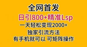 全网首发！日引800+精准老色批，一天变现2000+，独家引流方法，可矩阵操作【揭秘】-吗喽副业资源站