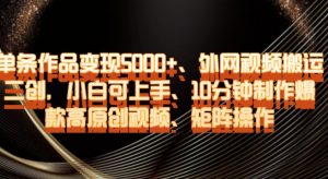 单条作品变现5000+、外网视频搬运二创，小白可上手，10分钟制作爆款高原创视频，矩阵操作【揭秘】-吗喽副业资源站