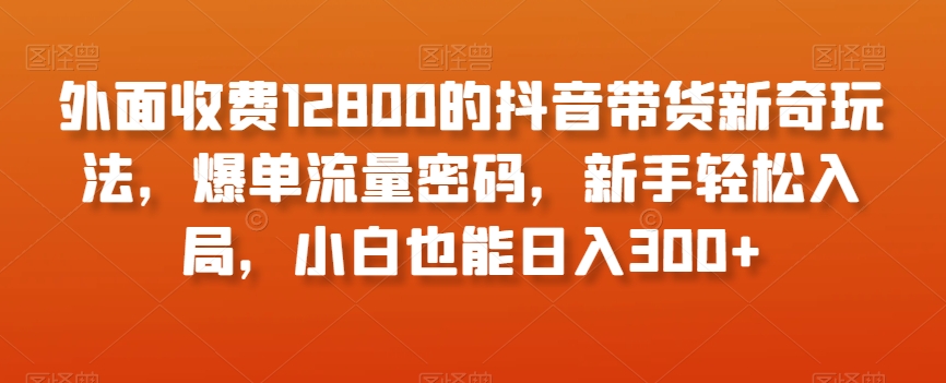 外面收费12800的抖音带货新奇玩法，爆单流量密码，新手轻松入局，小白也能日入300+【揭秘】-吗喽副业资源站