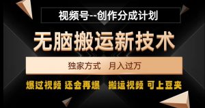 视频号无脑搬运新技术，破原创壕流量，独家方式，爆过视频，还会再爆【揭秘】-吗喽副业资源站