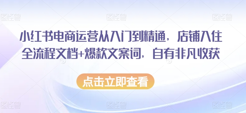 小红书电商运营从入门到精通，店铺入住全流程文档+爆款文案词，自有非凡收获-吗喽副业资源站