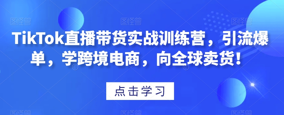 TikTok直播带货实战训练营，引流爆单，学跨境电商，向全球卖货！-吗喽副业资源站