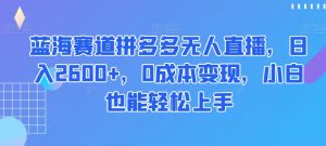 蓝海赛道拼多多无人直播，日入2600+，0成本变现，小白也能轻松上手【揭秘】-吗喽副业资源站