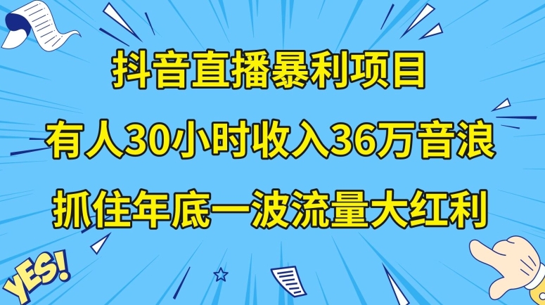 抖音直播暴利项目，有人30小时收入36万音浪，公司宣传片年会视频制作，抓住年底一波流量大红利【揭秘】-吗喽副业资源站