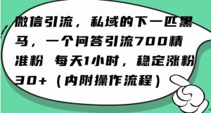 怎么搞精准创业粉?微信新赛道,每天一小时,利用Ai一个问答日引100精准粉-吗喽副业资源站
