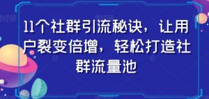 11个社群引流秘诀,让用户裂变倍增,轻松打造社群流量池-吗喽副业资源站