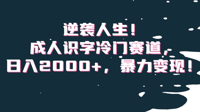 逆袭人生！成人识字冷门赛道，日入2000+，暴力变现！【揭秘】-吗喽副业资源站