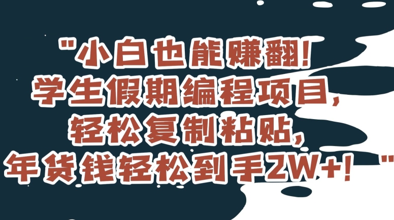 小白也能赚翻！学生假期编程项目，轻松复制粘贴，年货钱轻松到手2W+【揭秘】-吗喽副业资源站