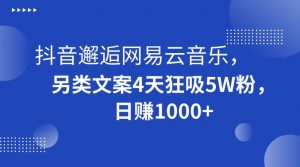 抖音邂逅网易云音乐，另类文案4天狂吸5W粉，日赚1000+【揭秘】-吗喽副业资源站
