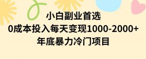 小白副业首选，0成本投入，每天变现1000-2000年底暴力冷门项目【揭秘】-吗喽副业资源站