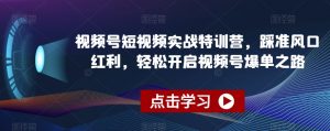 视频号短视频实战特训营，踩准风口红利，轻松开启视频号爆单之路-吗喽副业资源站