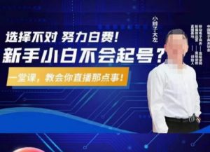 大左教您从0到1做直播带货,选择不对,努力白费,5小时课程搞定那点事,解决你起号问题-吗喽副业资源站