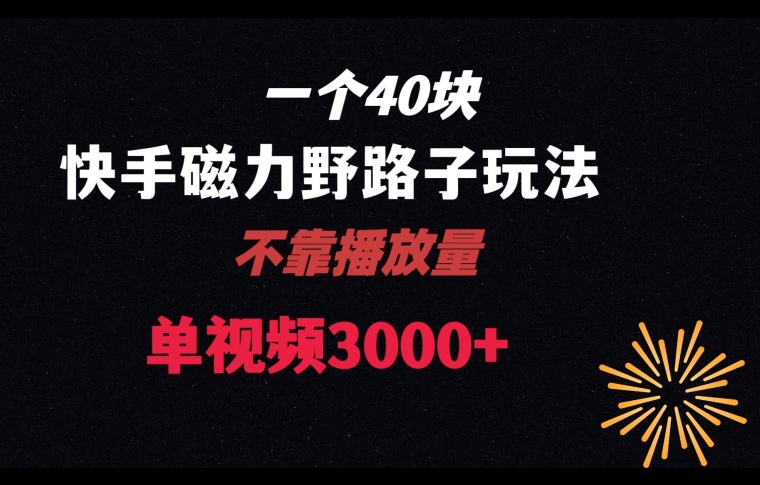 一个40块，快手联合美团磁力新玩法，无视机制野路子玩法，单视频收益4位数【揭秘】-吗喽副业资源站
