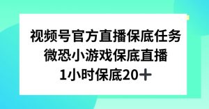 视频号直播任务，微恐小游戏，1小时20+【揭秘】-吗喽副业资源站