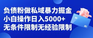 负债粉私域暴力掘金，小白操作入5000，无经验限制，无条件限制【揭秘】-吗喽副业资源站