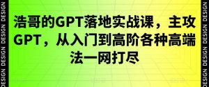 浩哥的GPT落地实战课,主攻GPT,从入门到高阶各种高端法一网打尽-吗喽副业资源站