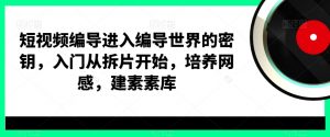 短视频编导进入编导世界的密钥，入门从拆片开始，培养网感，建素素库-吗喽副业资源站