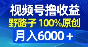 视频号野路子撸收益，100%原创，条条爆款，月入6000＋【揭秘】-吗喽副业资源站