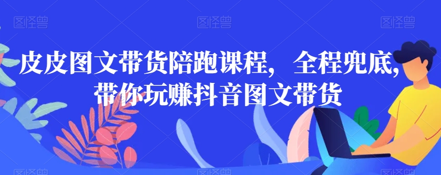 皮皮图文带货陪跑课程，全程兜底，带你玩赚抖音图文带货-吗喽副业资源站