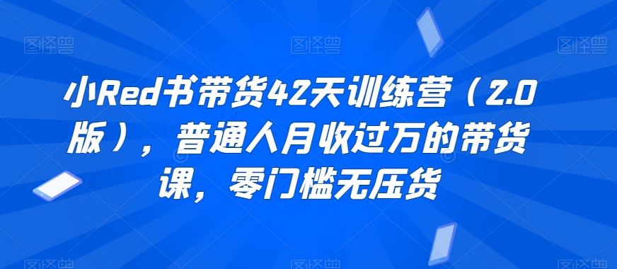 小Red书带货42天训练营（2.0版），普通人月收过万的带货课，零门槛无压货-吗喽副业资源站