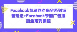Facebook菜鸟到老鸟全系列运营玩法+Facebook专业广告投放全系列课程-吗喽副业资源站