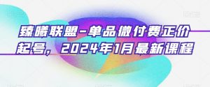 臻曦联盟-单品微付费正价起号，2024年1月最新课程-吗喽副业资源站